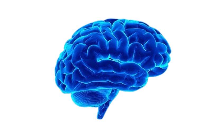 Intelligence Brain